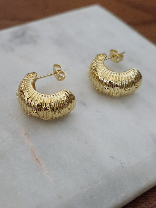 Ary Earrings