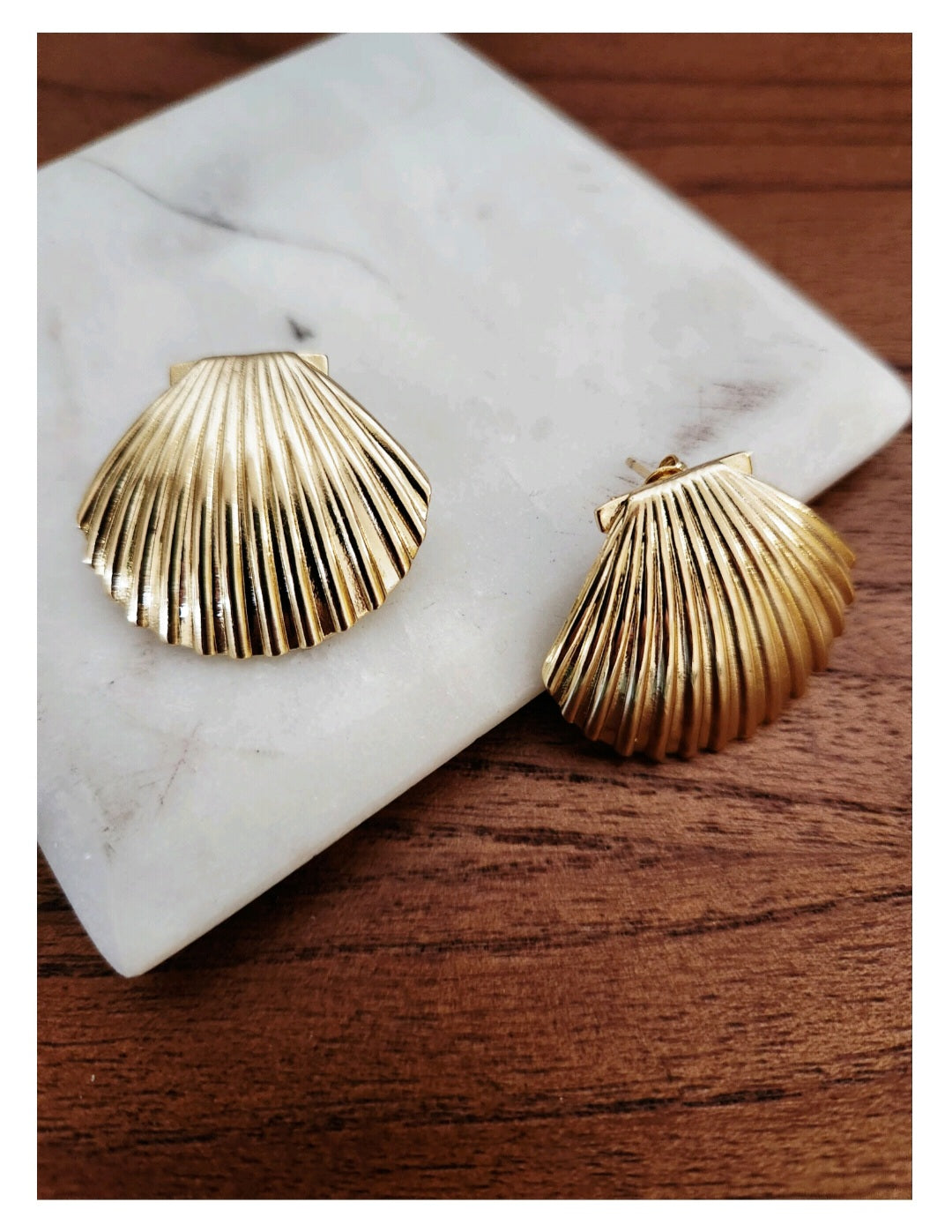 Shell Earrings