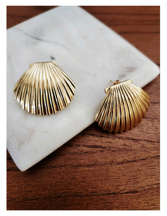 Shell Earrings