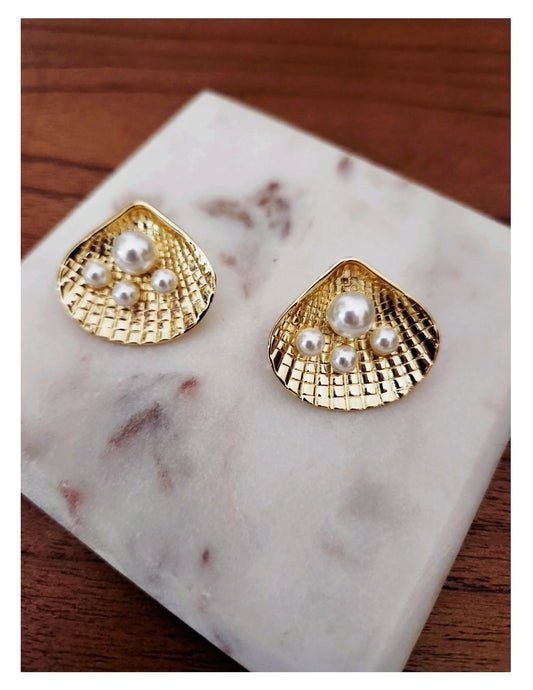Shell Earrings